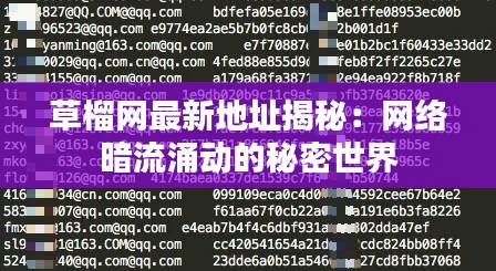 草榴网最新地址揭秘:网络暗流涌动的秘密世界