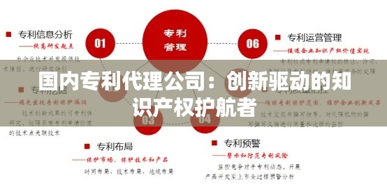 国内专利代理公司:创新驱动的知识产权护航者