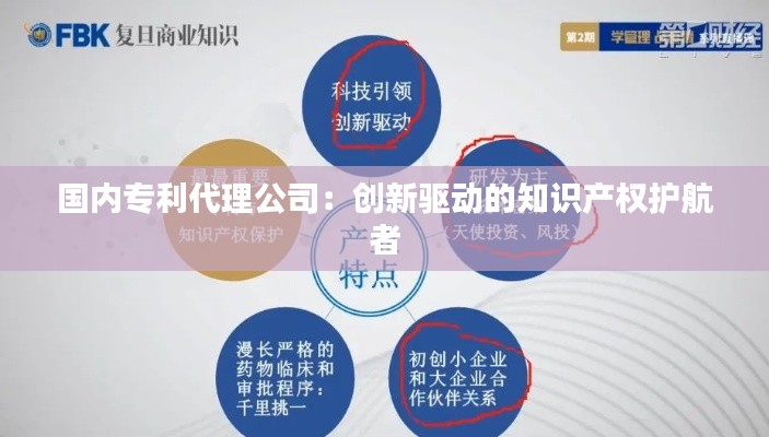 国内专利代理公司:创新驱动的知识产权护航者