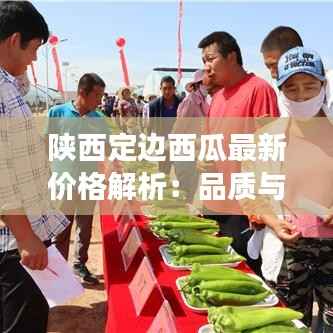 张袂成阴 第4页