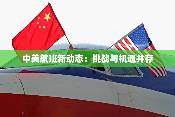 中美航班新动态:挑战与机遇并存
