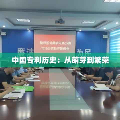 中国专利历史:从萌芽到繁荣