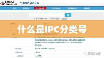 什么是IPC分类号