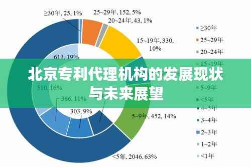 北京专利代理机构的发展现状与未来展望