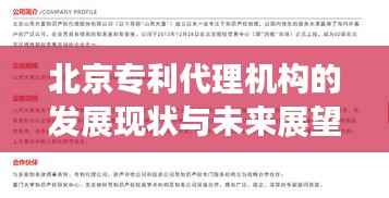 北京专利代理机构的发展现状与未来展望