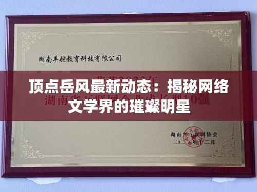 顶点岳风最新动态:揭秘网络文学界的璀璨明星