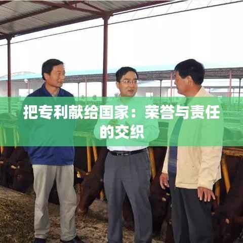 行疾如飞 第3页