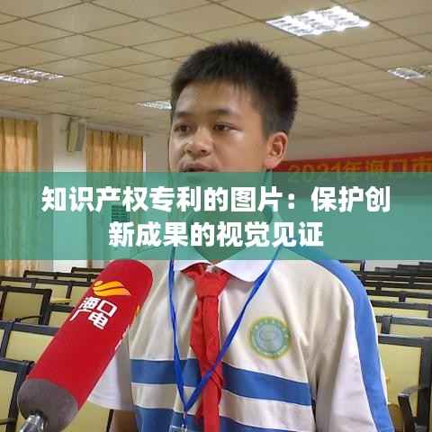 知识产权专利的图片:保护创新成果的视觉见证