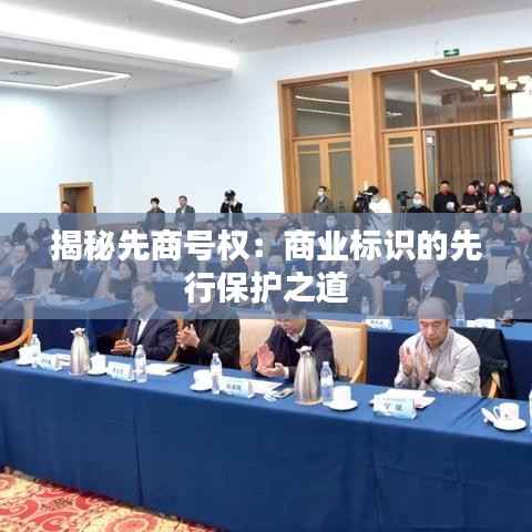 揭秘先商号权:商业标识的先行保护之道