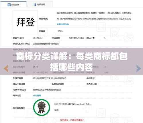 商标分类详解:每类商标都包括哪些内容