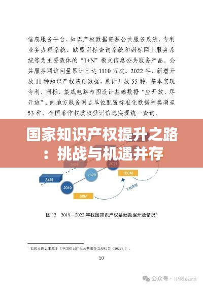 国家知识产权提升之路:挑战与机遇并存