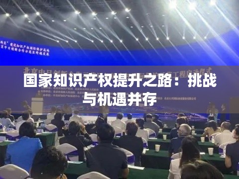 国家知识产权提升之路:挑战与机遇并存
