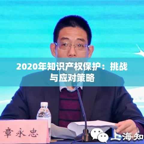 2020年知识产权保护:挑战与应对策略