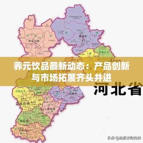 养元饮品最新动态:产品创新与市场拓展齐头并进