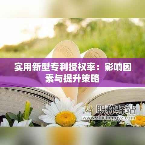 实用新型专利授权率:影响因素与提升策略