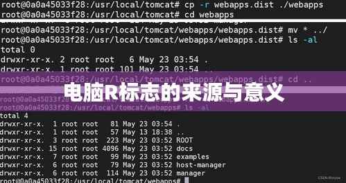电脑R标志的来源与意义
