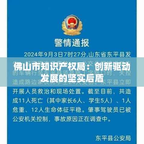 佛山市知识产权局:创新驱动发展的坚实后盾