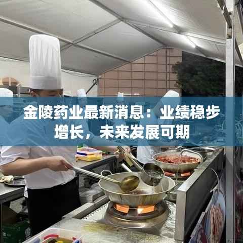 金陵药业最新消息:业绩稳步增长,未来发展可期