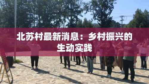 北苏村最新消息:乡村振兴的生动实践