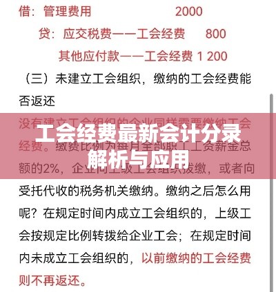 工会经费最新会计分录解析与应用