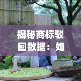 揭秘商标驳回数据:如何有效应对与策略制定