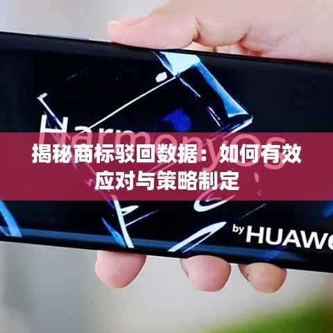 揭秘商标驳回数据:如何有效应对与策略制定