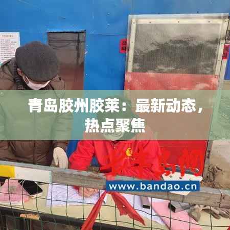 青岛胶州胶莱:最新动态,热点聚焦