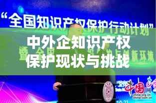 中外企知识产权保护现状与挑战:共筑创新生态