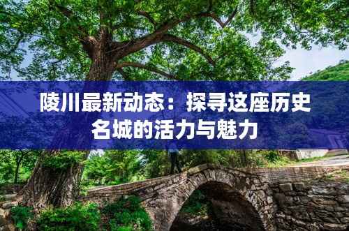 陵川最新动态:探寻这座历史名城的活力与魅力