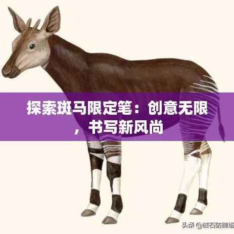 吉光片羽 第3页