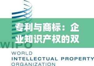 专利与商标:企业知识产权的双重守护者