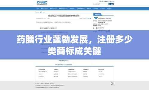 药膳行业蓬勃发展,注册多少类商标成关键