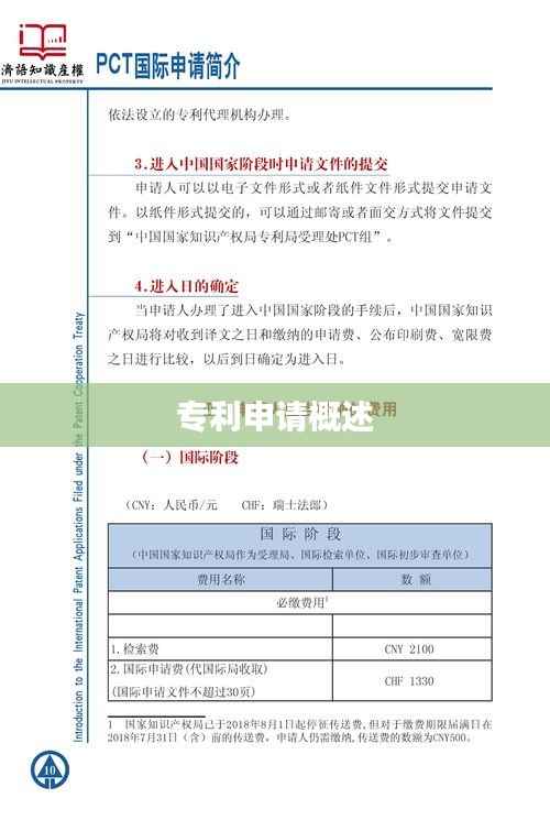 专利申请概述