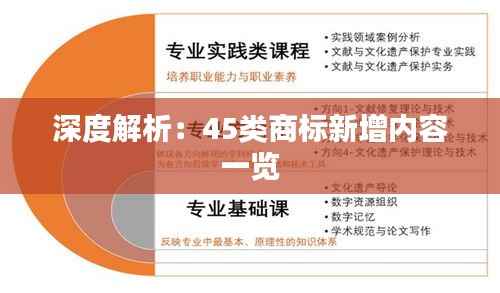 深度解析:45类商标新增内容一览