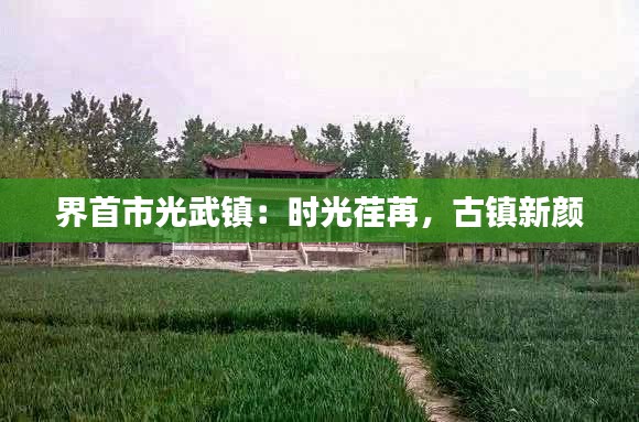 界首市光武镇:时光荏苒,古镇新颜