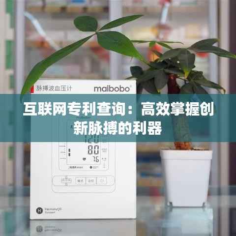 互联网专利查询:高效掌握创新脉搏的利器