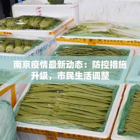 南京疫情最新动态:防控措施升级,市民生活调整
