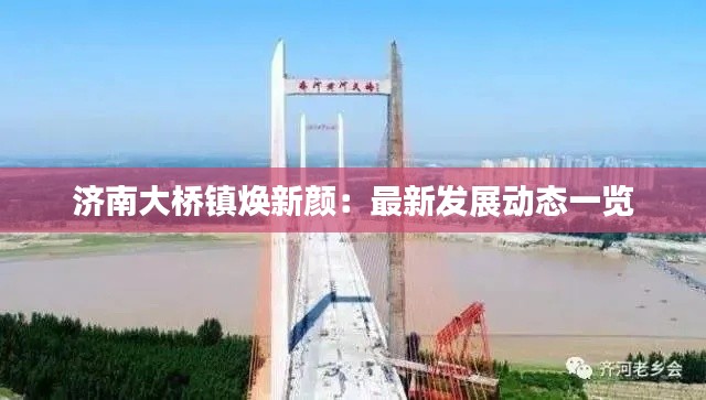 济南大桥镇焕新颜:最新发展动态一览