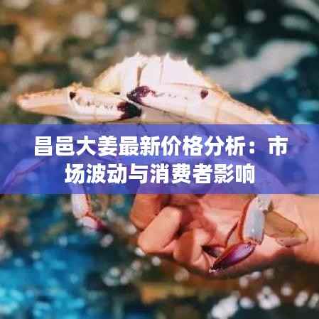昌邑大姜最新价格分析:市场波动与消费者影响