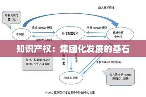 知识产权:集团化发展的基石