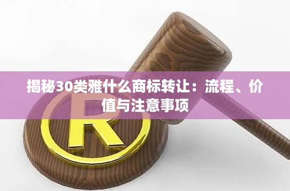 揭秘30类雅什么商标转让:流程、价值与注意事项