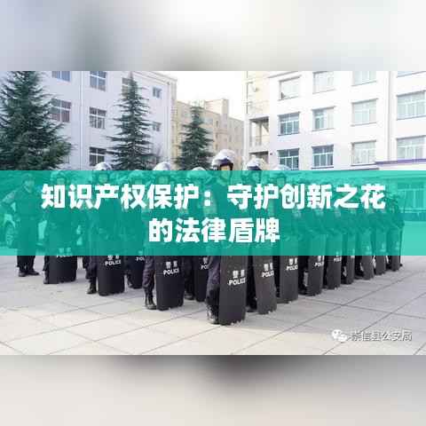 知识产权保护:守护创新之花的法律盾牌