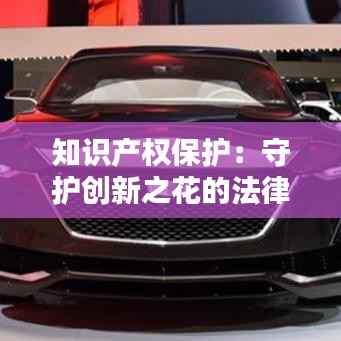 知识产权保护:守护创新之花的法律盾牌