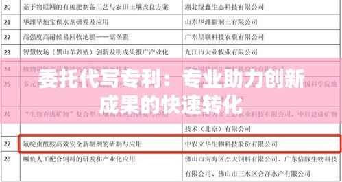 委托代写专利:专业助力创新成果的快速转化