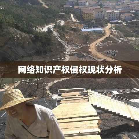 网络知识产权侵权现状分析