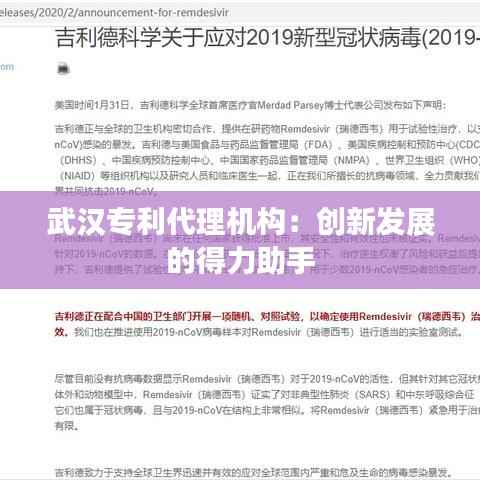 武汉专利代理机构:创新发展的得力助手