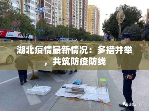 湖北疫情最新情况:多措并举,共筑防疫防线