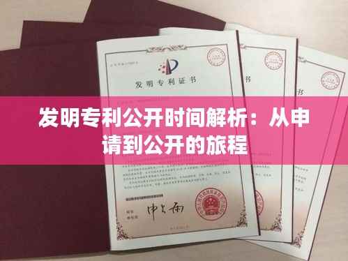 夯雀儿先飞 第3页