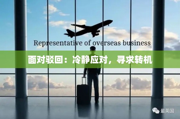 面对驳回:冷静应对,寻求转机