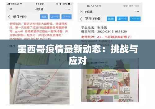 墨西哥疫情最新动态:挑战与应对